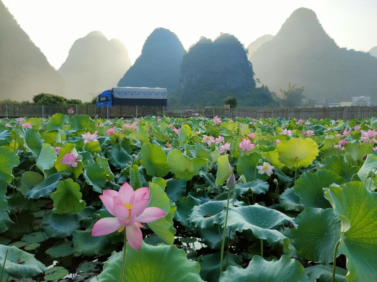 Yangshuo Tea Cozy--One Way Free Pick Up From Airport Or Ts 4 Nights Guest House Exterior photo